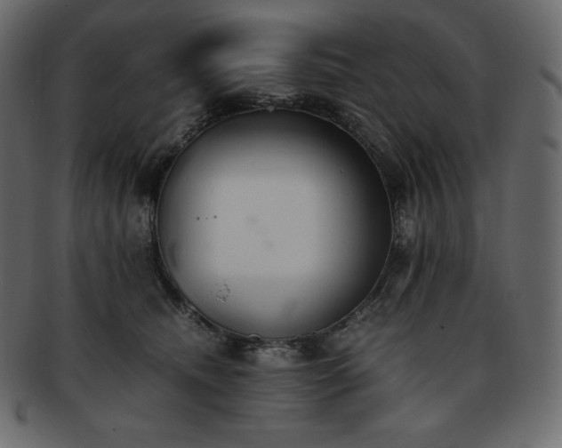 X0000093370468200710191119