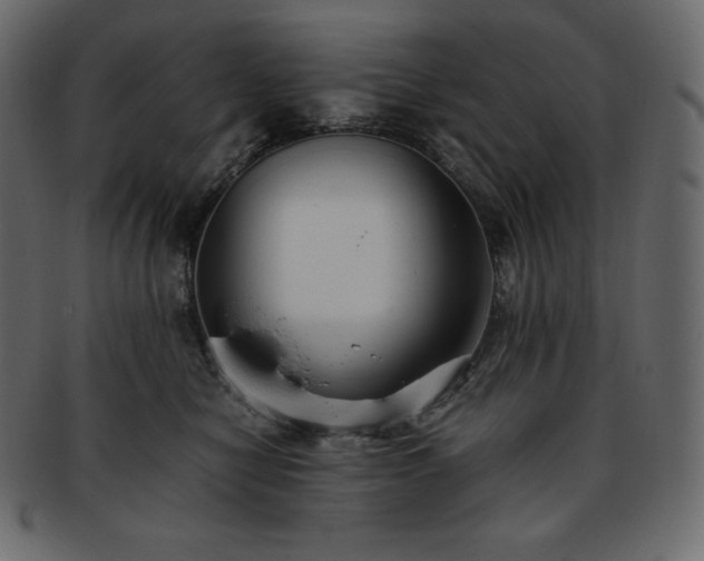 X0000093370470200710191119