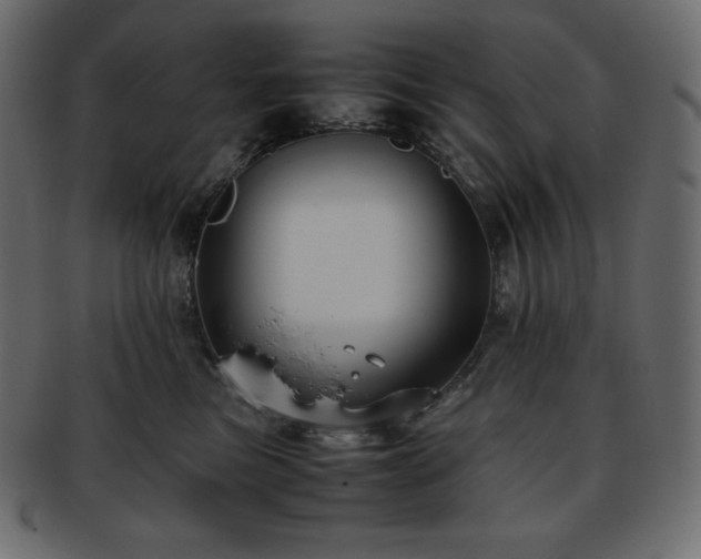 X0000093370473200710191119