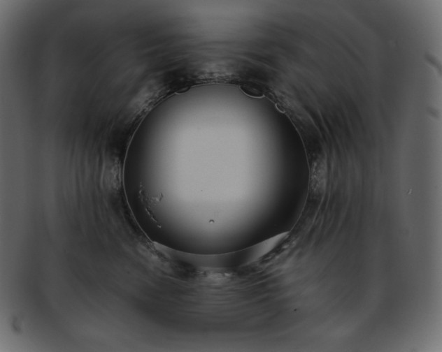 X0000093370474200710191119