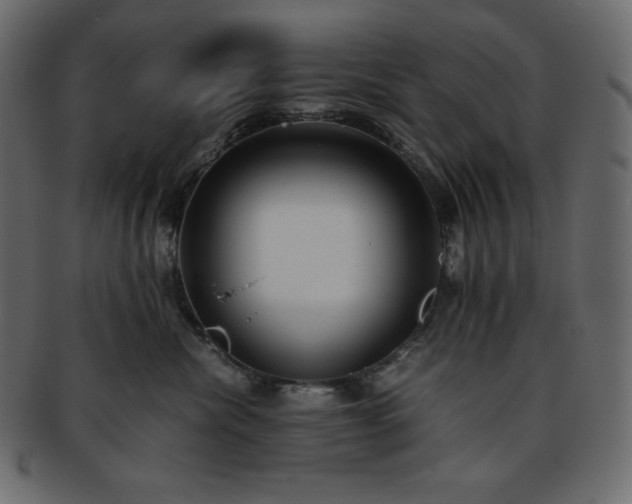 X0000093370476200710191119