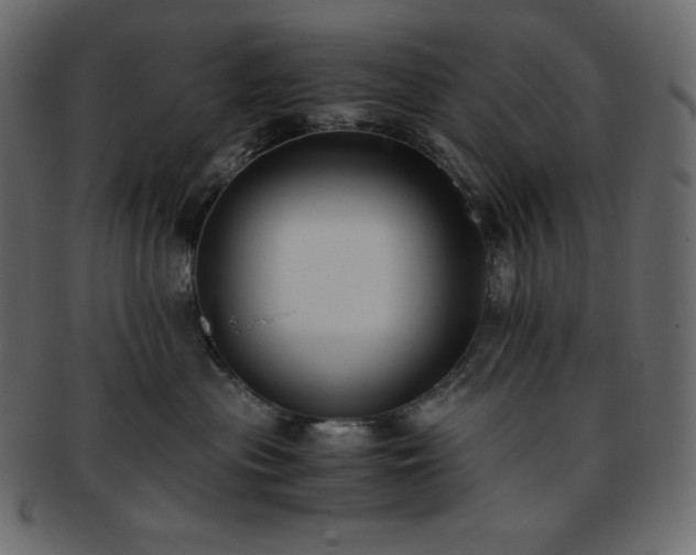 X0000093370477200710191119