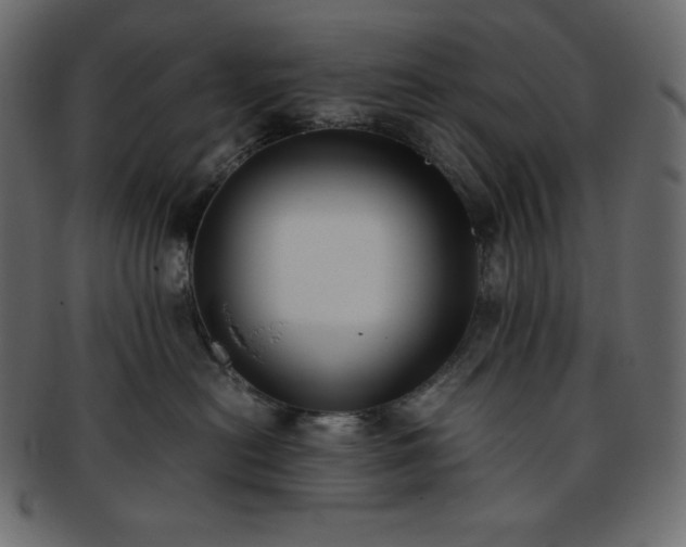 X0000093370478200710191119