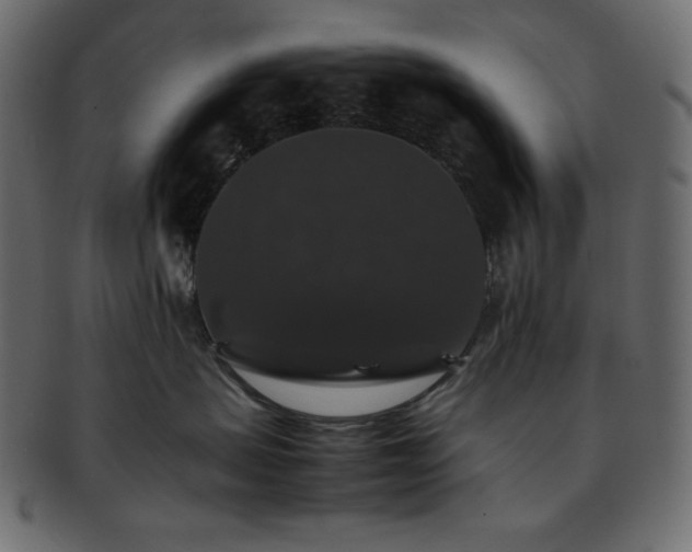 X0000093370479200710191119