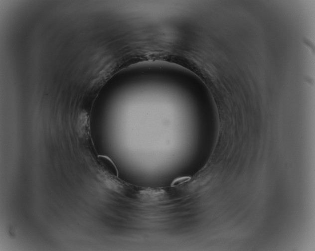 X0000093370480200710191119