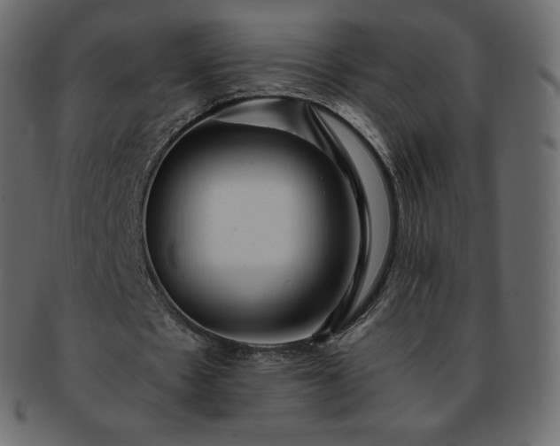 X0000093370481200710191119