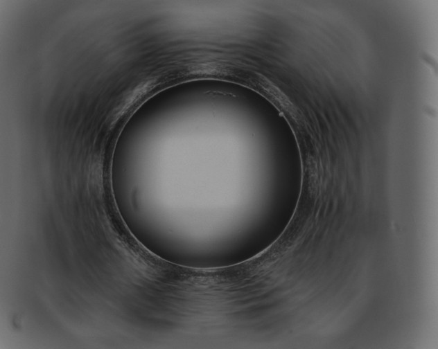 X0000093370482200710191119