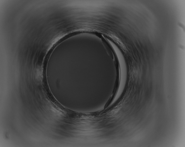 X0000093370484200710191119