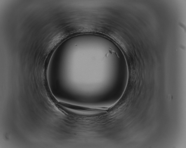 X0000093370485200710191119