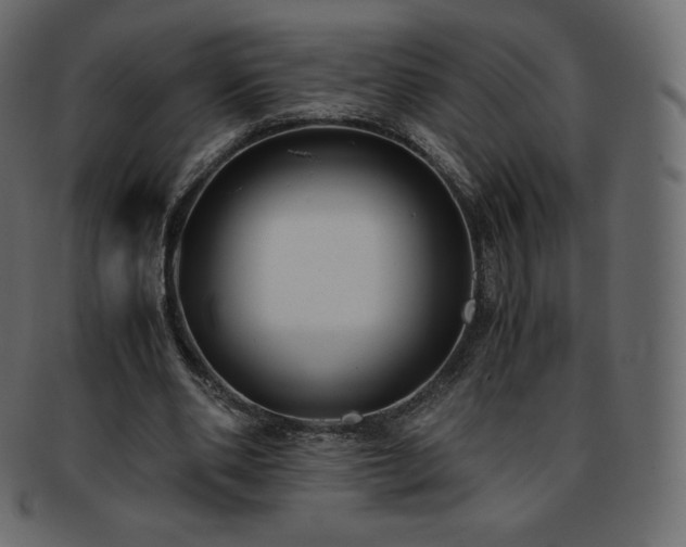 X0000093370486200710191119