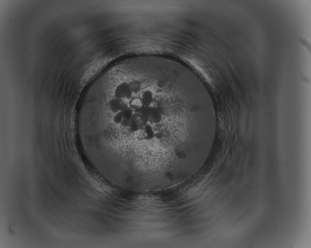 X0000093370487200710191119