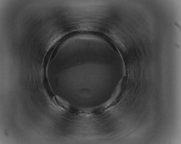 X0000093370488200710191119