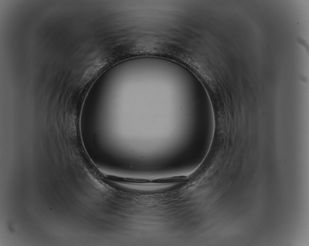 X0000093370489200710191119