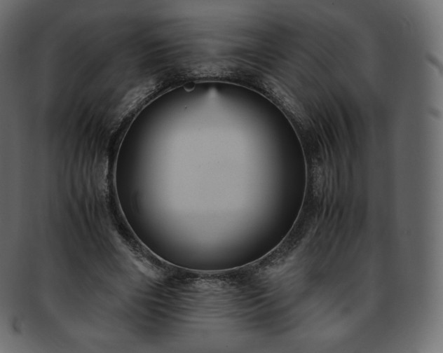 X0000093370490200710191119