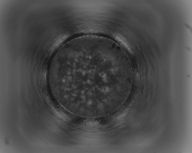 X0000093370491200710191119