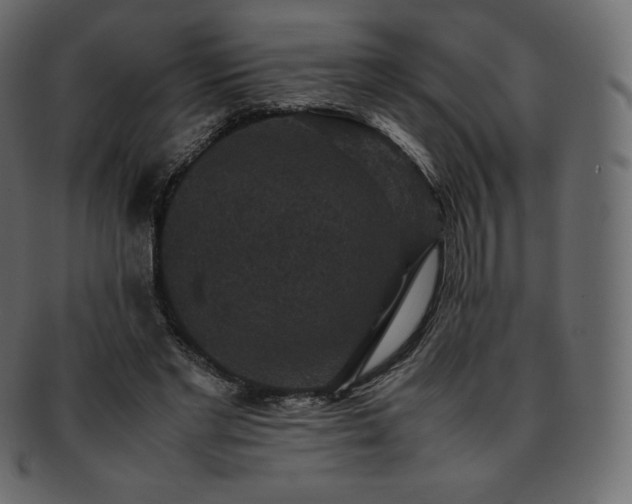 X0000093370493200710191119