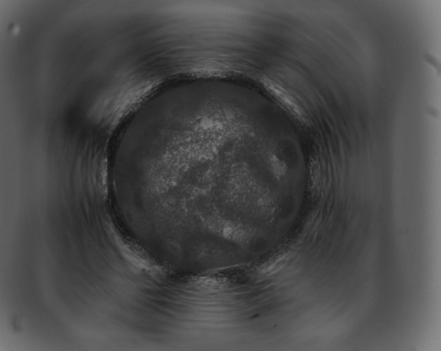 X0000093370494200710191119