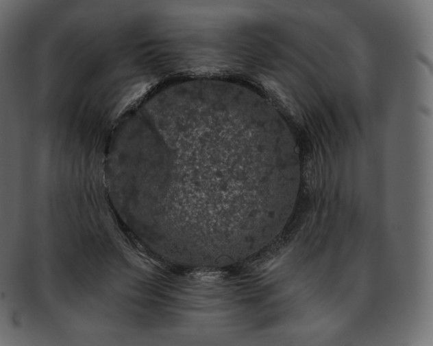 X0000093370495200710191119