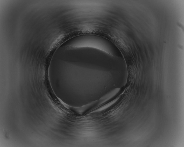 X0000093370496200710191119