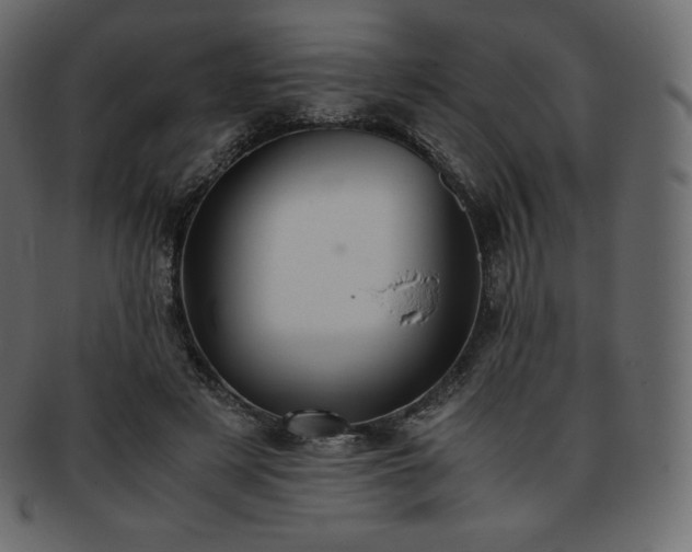 X0000093370497200710191119