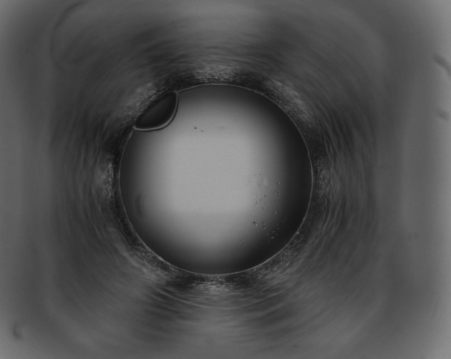 X0000093370498200710191119