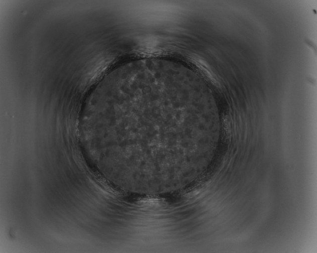 X0000093370499200710191118