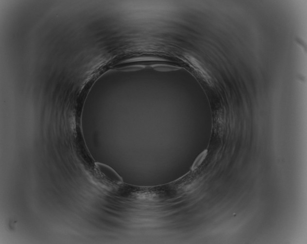 X0000093370500200710191118