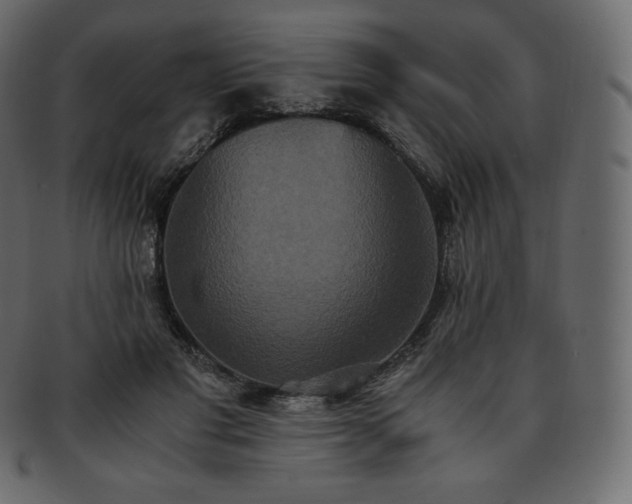 X0000093370501200710191118