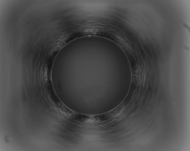 X0000093370504200710191118