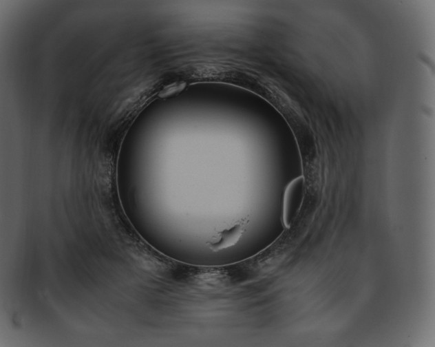 X0000093370505200710191118