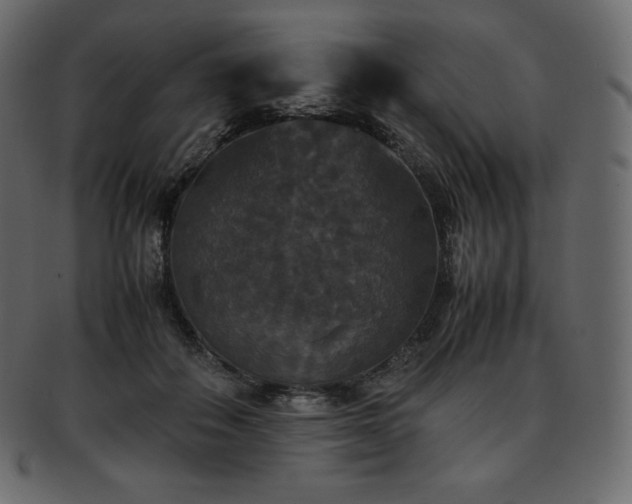 X0000093370506200710191118