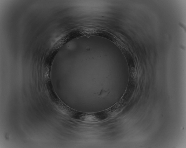 X0000093370507200710191118