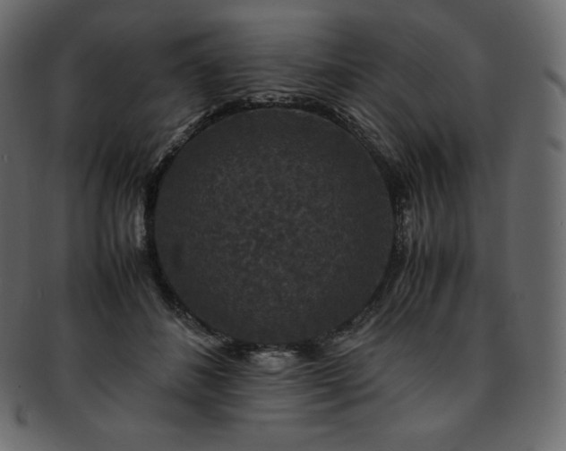 X0000093370508200710191118