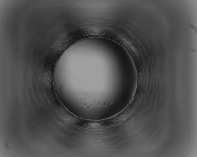 X0000093370509200710191118