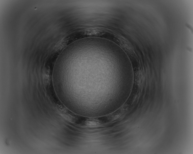 X0000093370510200710191118