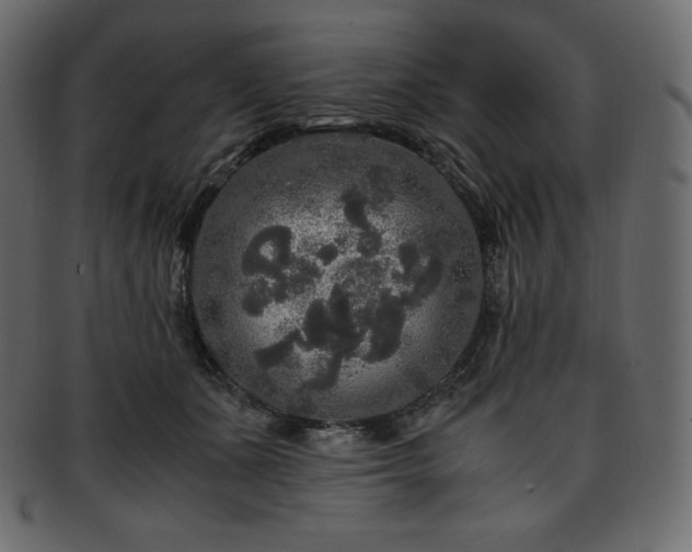 X0000093370511200710191118