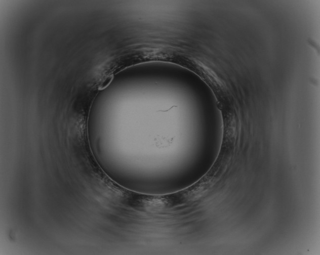 X0000093370513200710191118