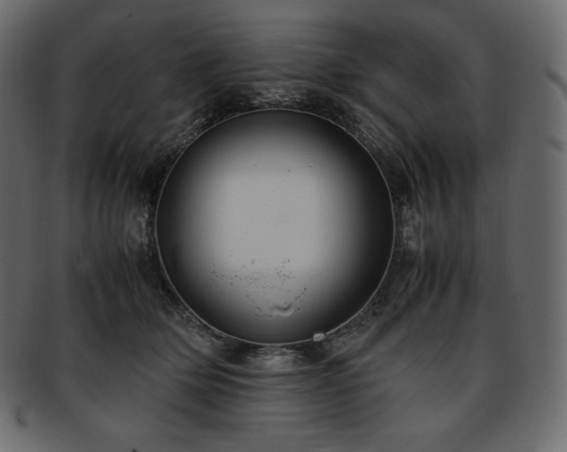 X0000093370514200710191118