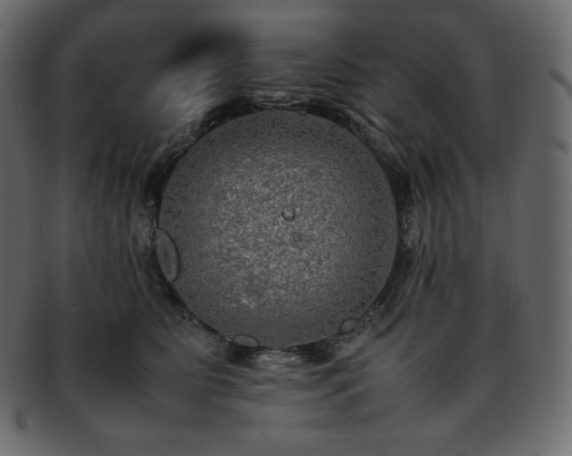 X0000093370515200710191118