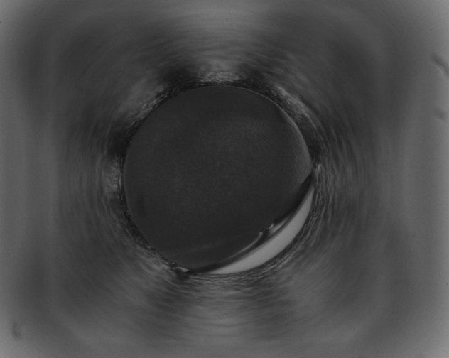 X0000093370517200710191118