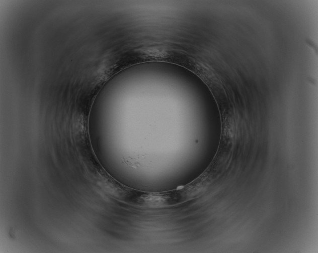 X0000093370518200710191118