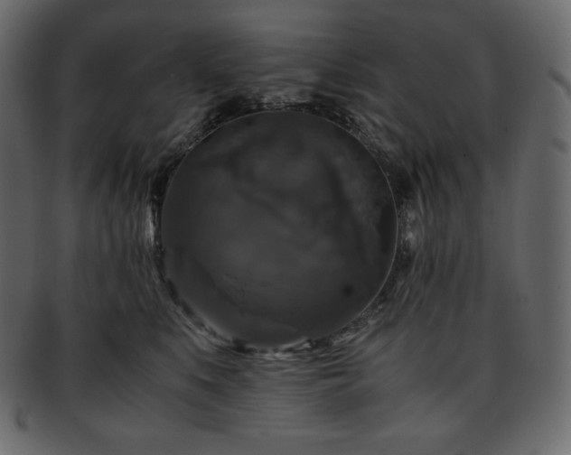 X0000093370519200710191118