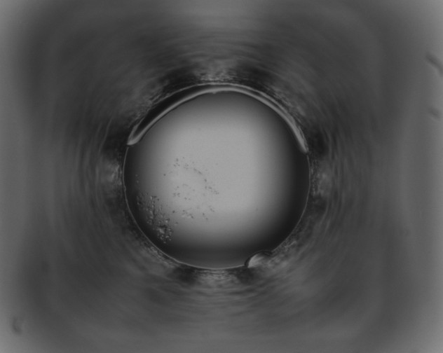 X0000093370521200710191118