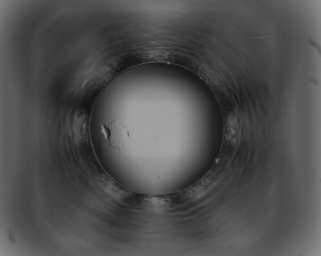 X0000093370522200710191118