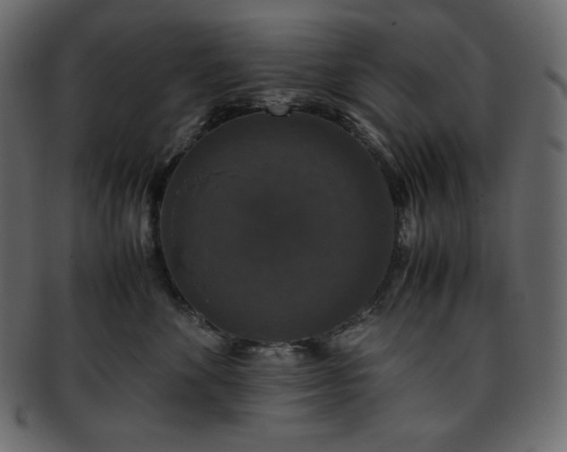 X0000093370524200710191118