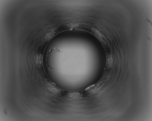 X0000093370525200710191118