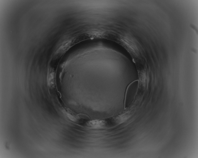 X0000093370526200710191118