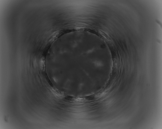 X0000093370527200710191118