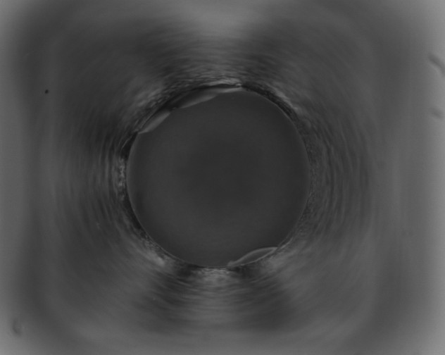 X0000093370528200710191118