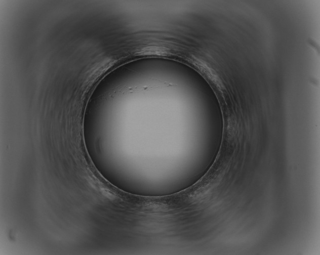 X0000093370529200710191117